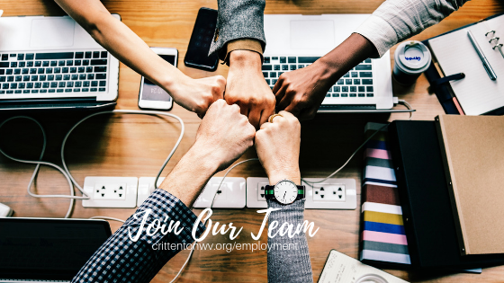 Wellspring Family Services - A Division of Crittenton Services